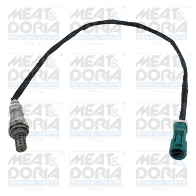 Oxygen Sensor